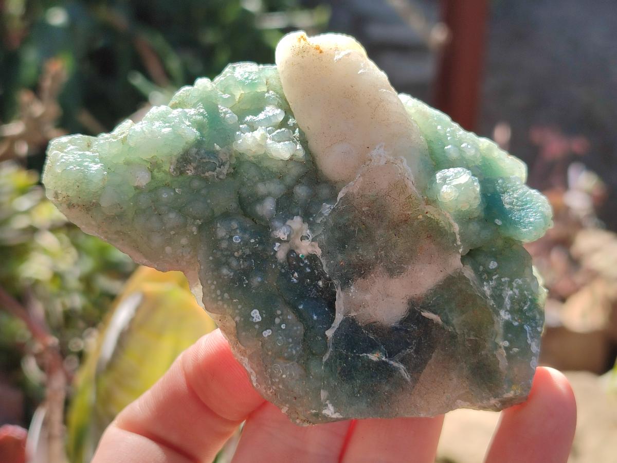 Natural Multi Mineral Specimens x 12 From Southern Africa - Toprock Gemstones and Minerals 