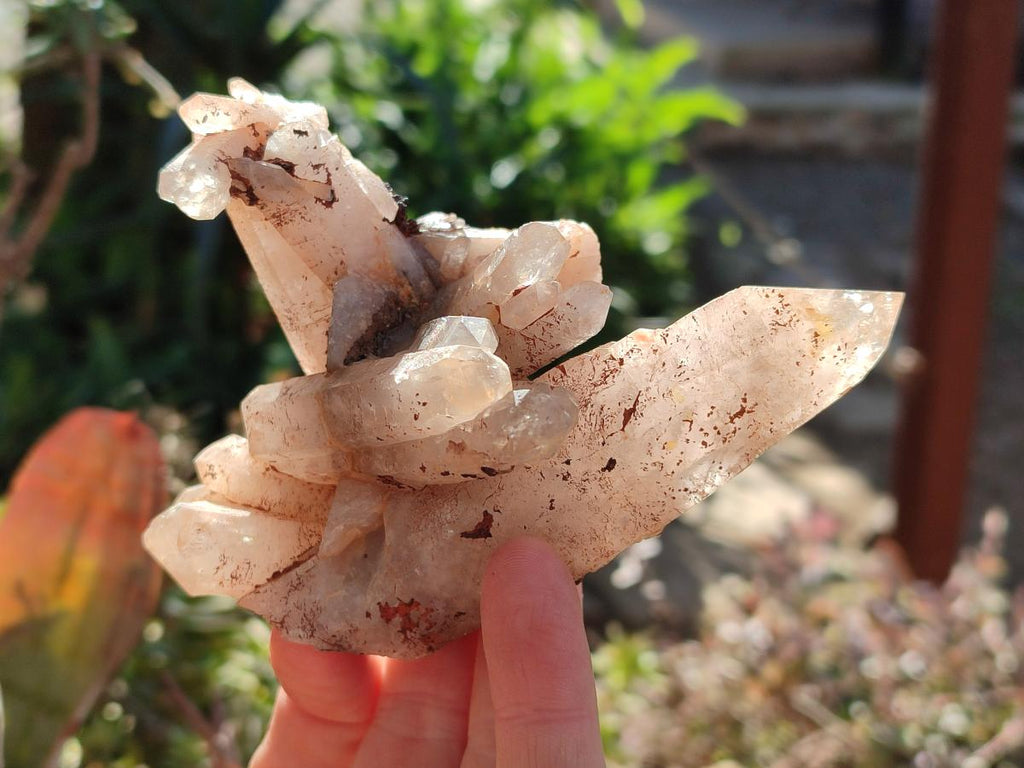 Natural Multi Mineral Specimens x 12 From Southern Africa - Toprock Gemstones and Minerals 