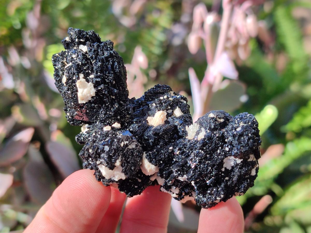 Natural Multi Mineral Specimens x 12 From Southern Africa - Toprock Gemstones and Minerals 