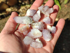 Natural Spirit Quartz Crystals x 116 From Boekenhouthoek, South Africa - Toprock Gemstones and Minerals 