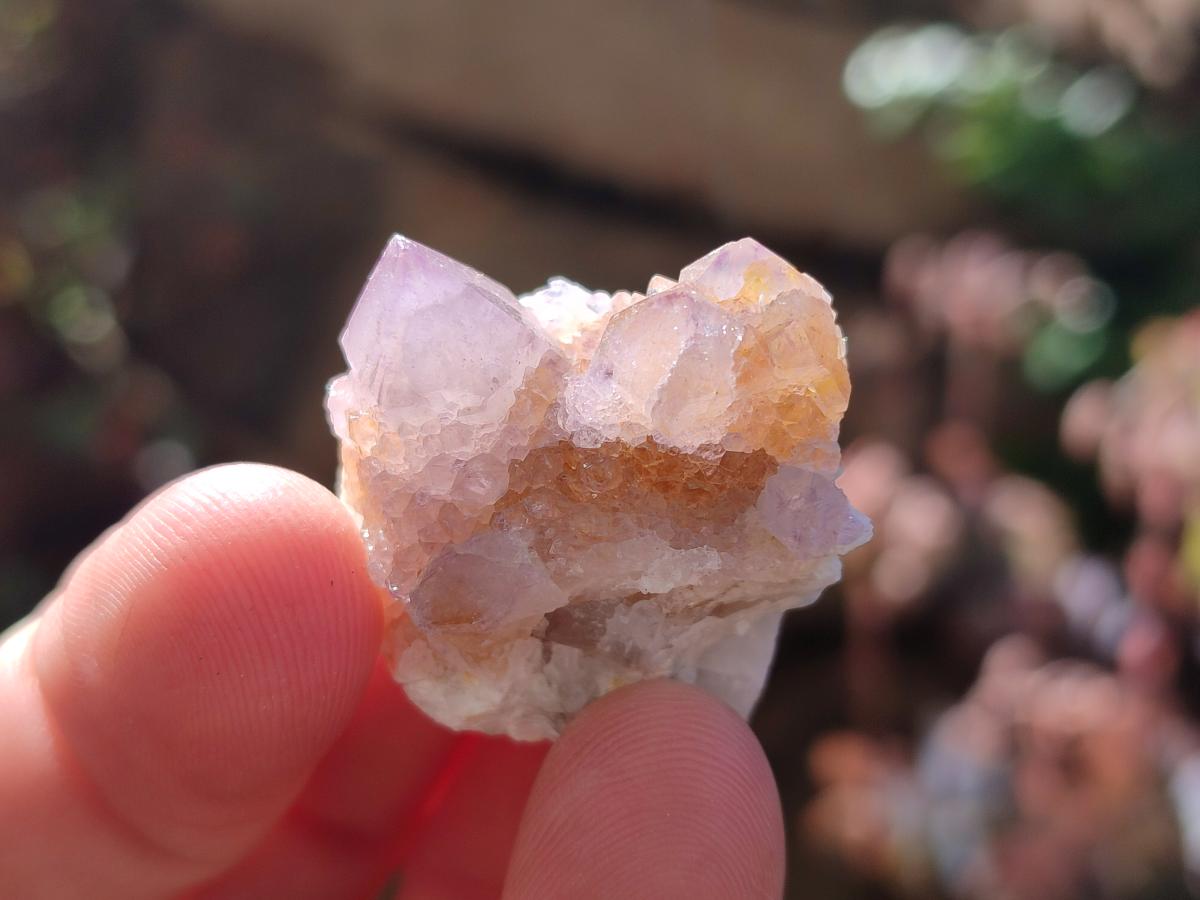 Natural Spirit Quartz Crystals x 116 From Boekenhouthoek, South Africa - Toprock Gemstones and Minerals 