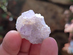 Natural Spirit Quartz Crystals x 116 From Boekenhouthoek, South Africa - Toprock Gemstones and Minerals 