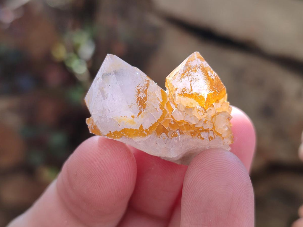Natural Spirit Quartz Crystals x 116 From Boekenhouthoek, South Africa - Toprock Gemstones and Minerals 