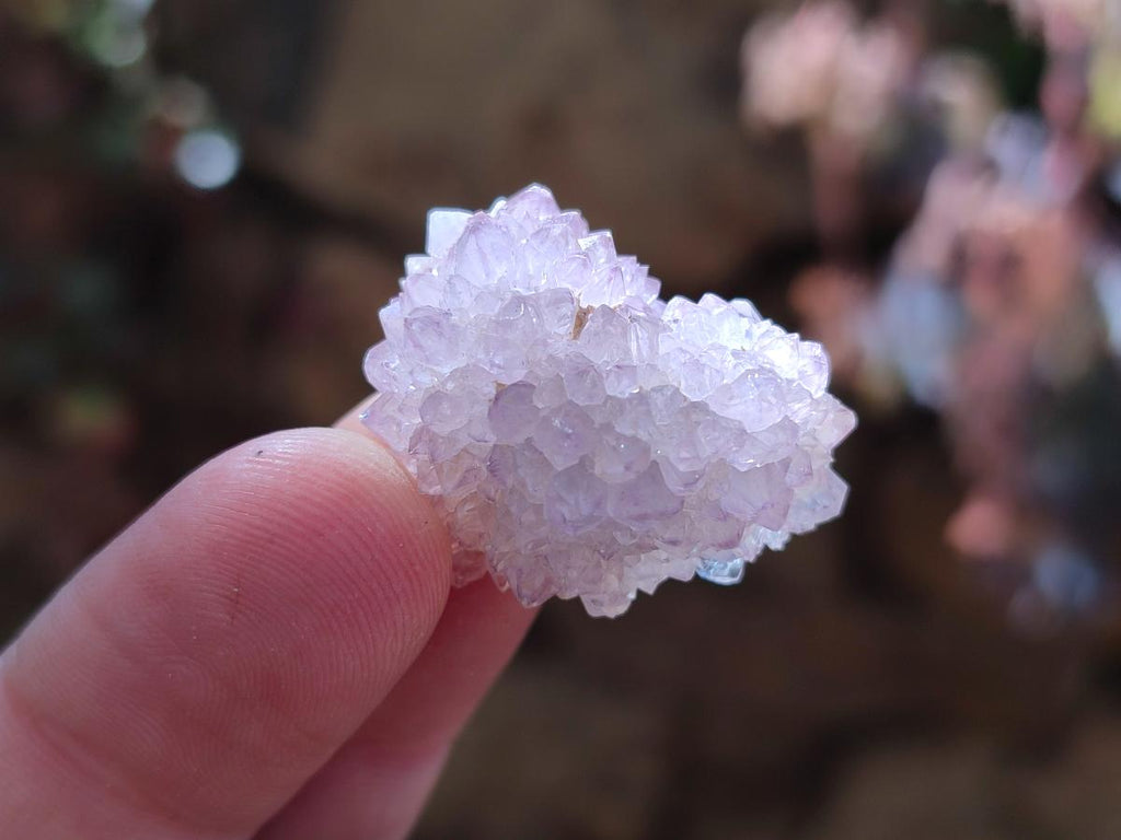 Natural Spirit Quartz Crystals x 116 From Boekenhouthoek, South Africa - Toprock Gemstones and Minerals 