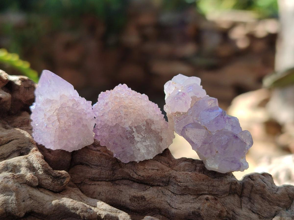 Natural Spirit Quartz Crystals x 116 From Boekenhouthoek, South Africa - Toprock Gemstones and Minerals 