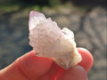 Natural Spirit Quartz Crystals x 116 From Boekenhouthoek, South Africa - Toprock Gemstones and Minerals 