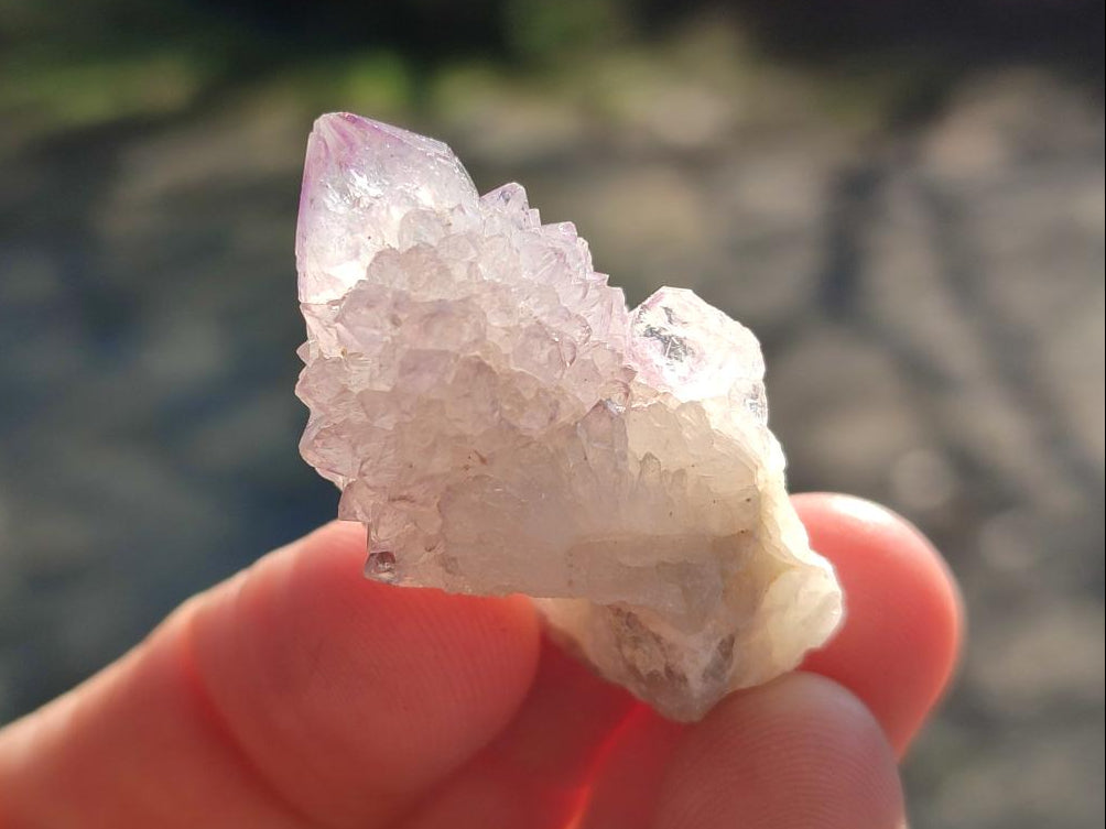 Natural Spirit Quartz Crystals x 116 From Boekenhouthoek, South Africa - Toprock Gemstones and Minerals 