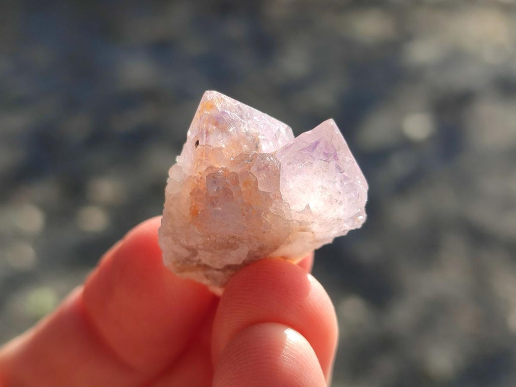 Natural Spirit Quartz Crystals x 116 From Boekenhouthoek, South Africa - Toprock Gemstones and Minerals 
