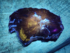 Polished One Side Brown Podocarpus Petrified Wood Slices x 7 From Mahajanga, Madagascar - Toprock Gemstones and Minerals 