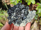 Natural Schorl Black Tourmaline Specimens x 2 From Erongo, Namibia - Toprock Gemstones and Minerals 