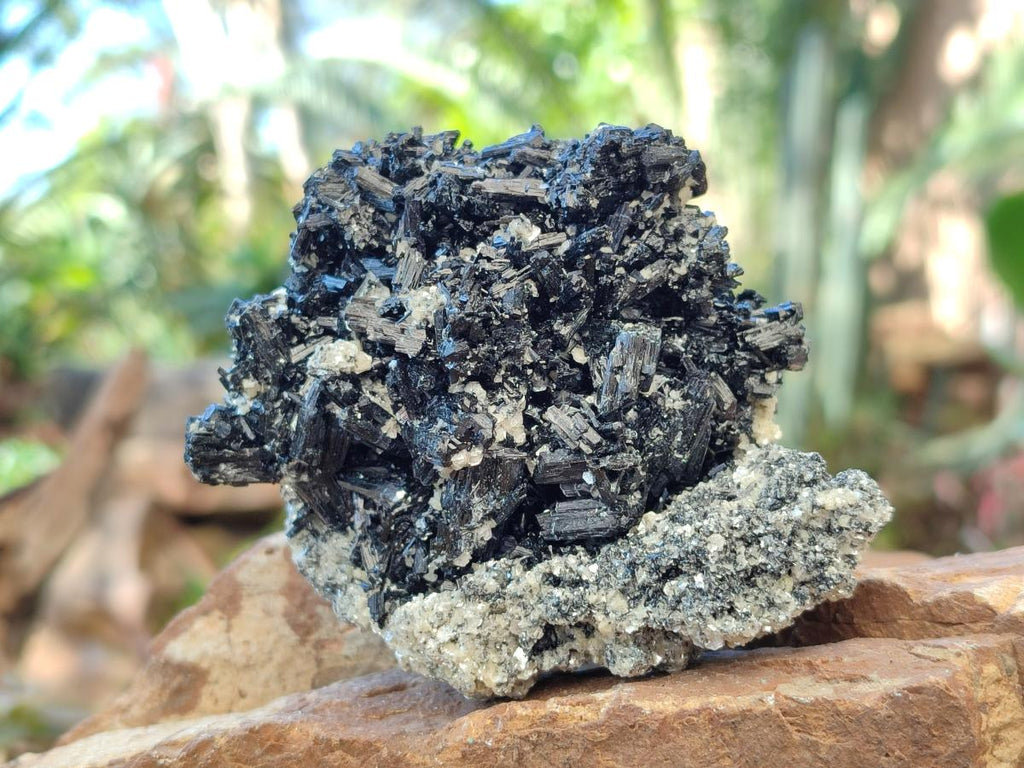 Natural Schorl Black Tourmaline Specimens x 2 From Erongo, Namibia - Toprock Gemstones and Minerals 