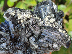 Natural Schorl Black Tourmaline Specimens x 2 From Erongo, Namibia - Toprock Gemstones and Minerals 