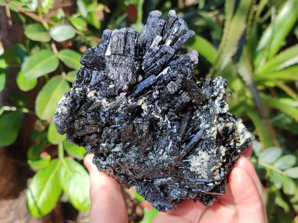 Natural Schorl Black Tourmaline Specimens x 2 From Erongo, Namibia - Toprock Gemstones and Minerals 