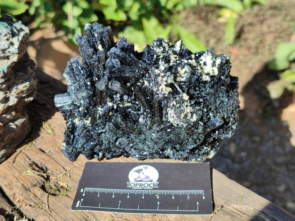 Natural Schorl Black Tourmaline Specimens x 2 From Erongo, Namibia - Toprock Gemstones and Minerals 