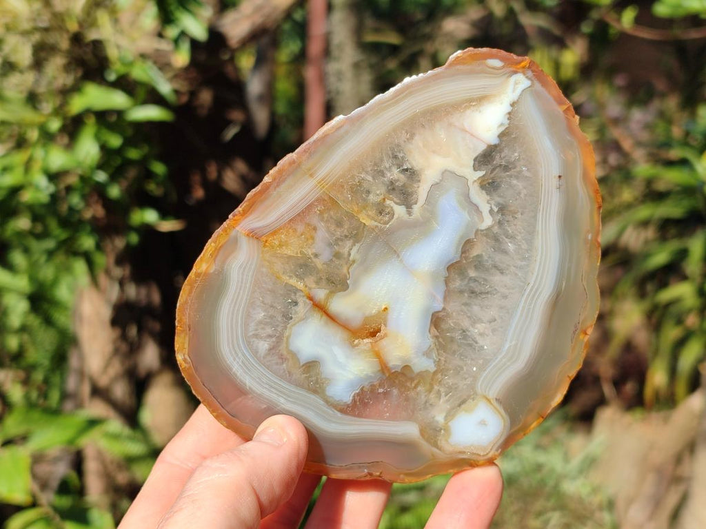 Polished and Natural Banded Agate Slices with Natural Edging x 5 From Madagascar - Toprock Gemstones and Minerals 