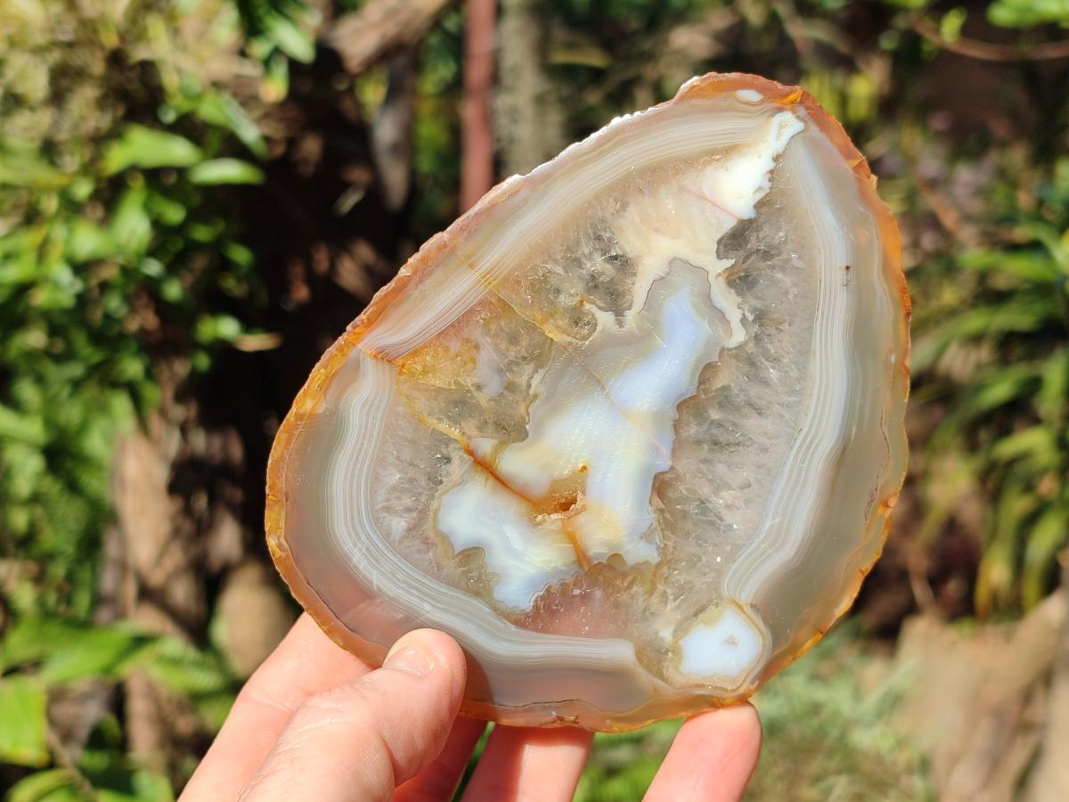 Polished and Natural Banded Agate Slices with Natural Edging x 5 From Madagascar - Toprock Gemstones and Minerals 