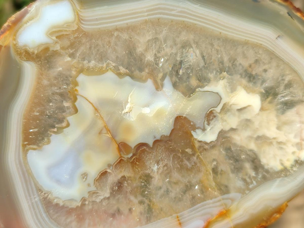 Polished and Natural Banded Agate Slices with Natural Edging x 5 From Madagascar - Toprock Gemstones and Minerals 