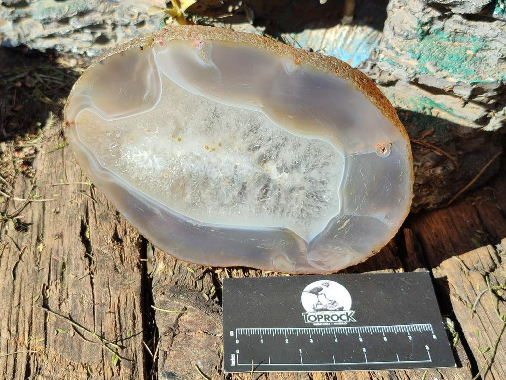 Polished and Natural Banded Agate Slices with Natural Edging x 5 From Madagascar - Toprock Gemstones and Minerals 