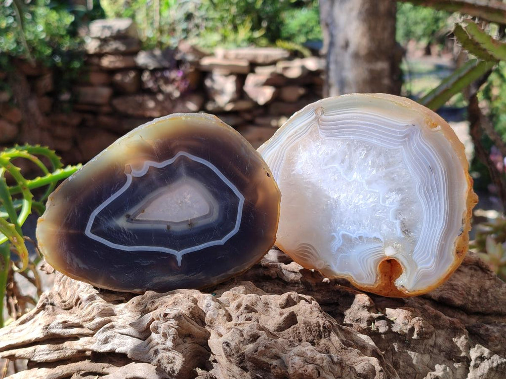 Polished and Natural Banded Agate Slices with Natural Edging x 5 From Madagascar - Toprock Gemstones and Minerals 