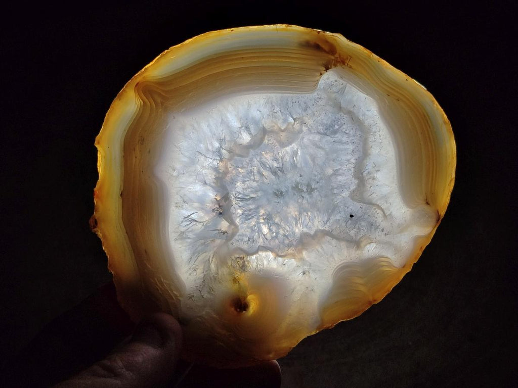 Polished and Natural Banded Agate Slices with Natural Edging x 5 From Madagascar - Toprock Gemstones and Minerals 