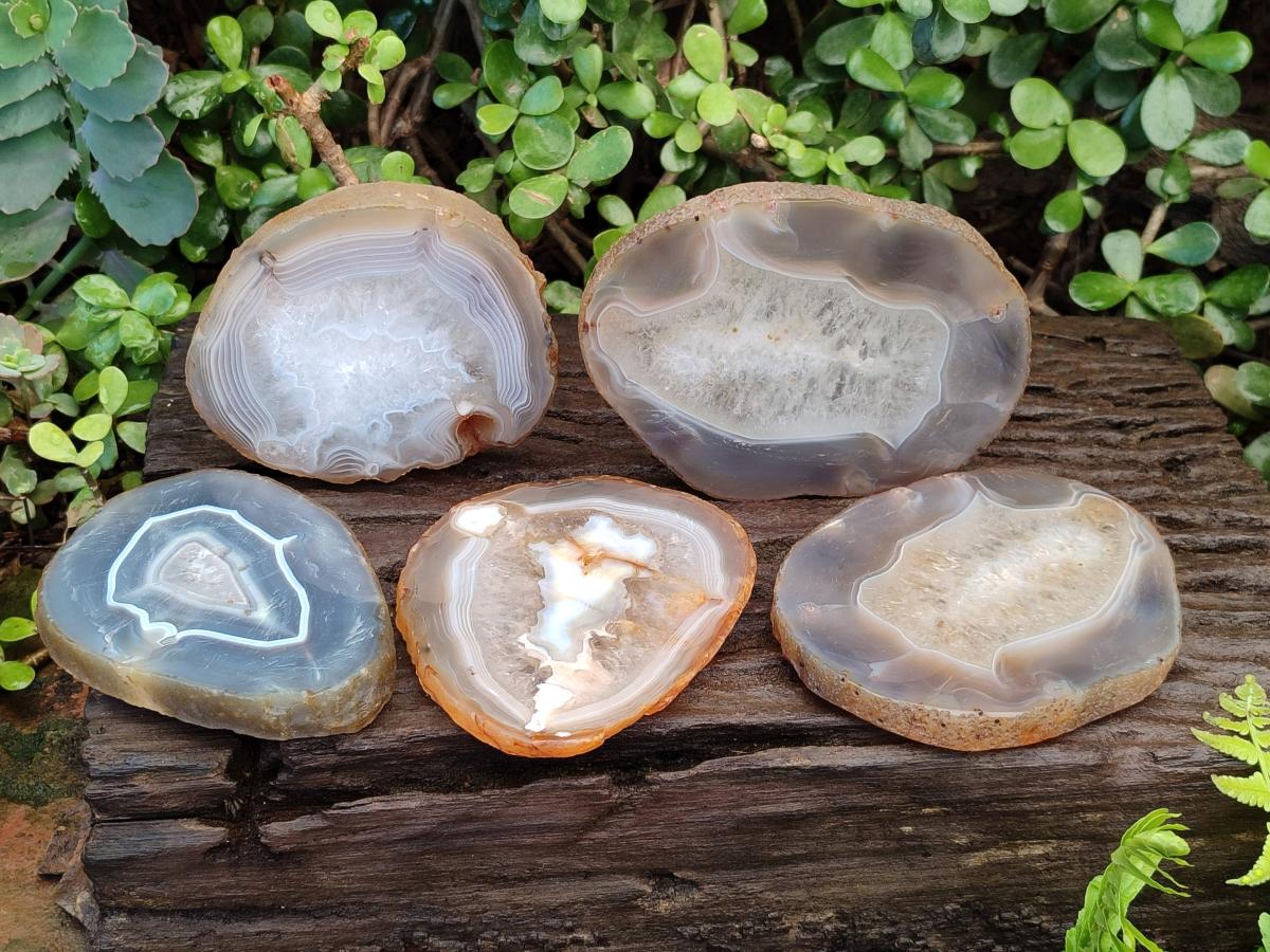 Polished and Natural Banded Agate Slices with Natural Edging x 5 From Madagascar - Toprock Gemstones and Minerals 