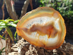 Polished and Natural Banded Agate Slices with Natural Edging x 5 From Madagascar - Toprock Gemstones and Minerals 