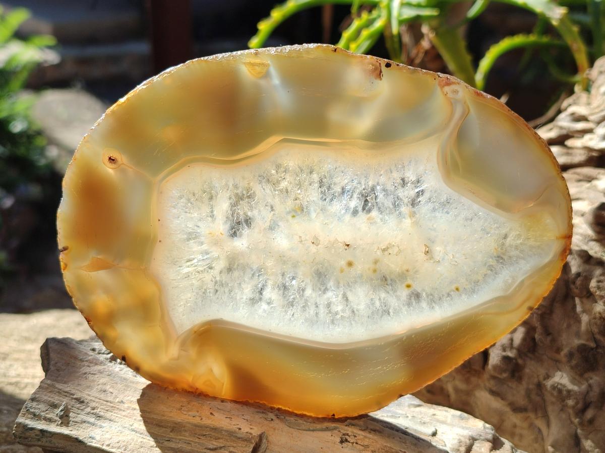 Polished and Natural Banded Agate Slices with Natural Edging x 5 From Madagascar - Toprock Gemstones and Minerals 