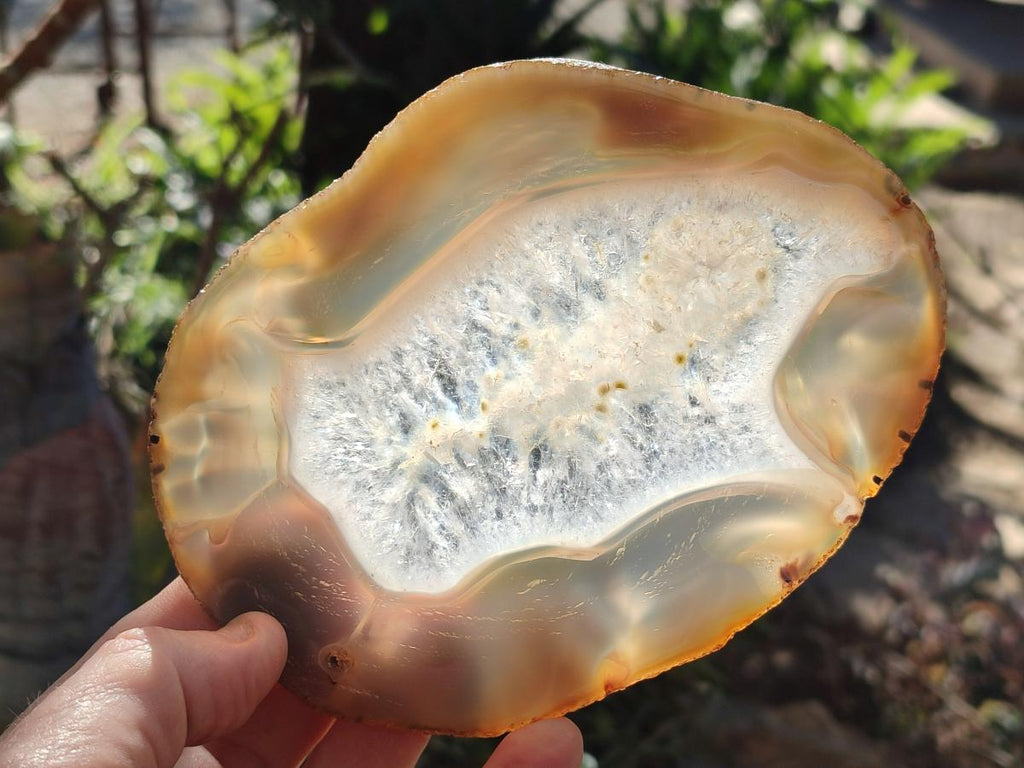 Polished and Natural Banded Agate Slices with Natural Edging x 5 From Madagascar - Toprock Gemstones and Minerals 