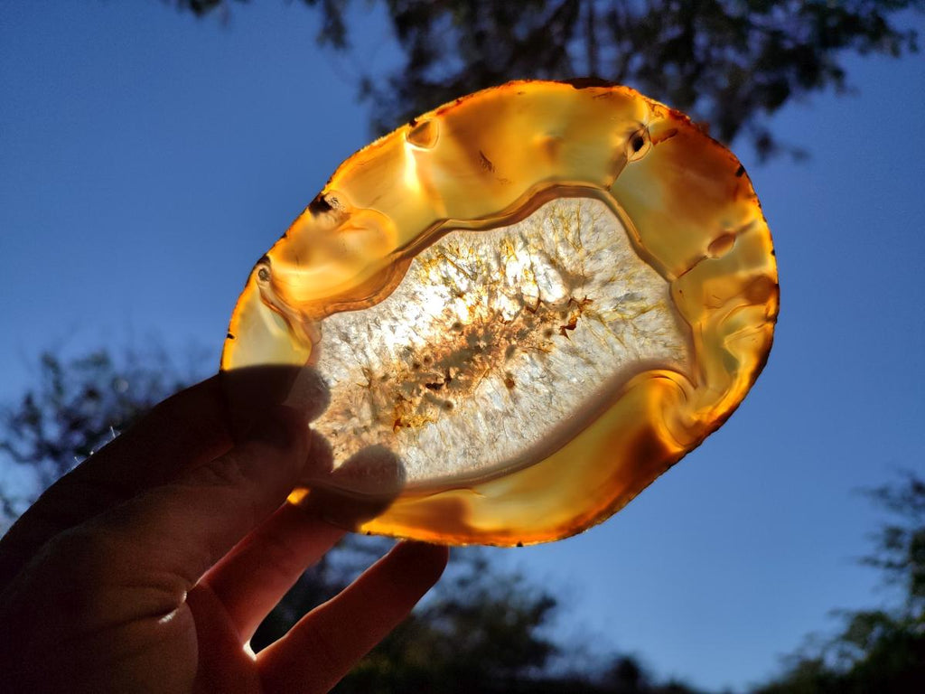 Polished and Natural Banded Agate Slices with Natural Edging x 5 From Madagascar - Toprock Gemstones and Minerals 