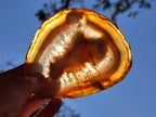 Polished and Natural Banded Agate Slices with Natural Edging x 5 From Madagascar - Toprock Gemstones and Minerals 
