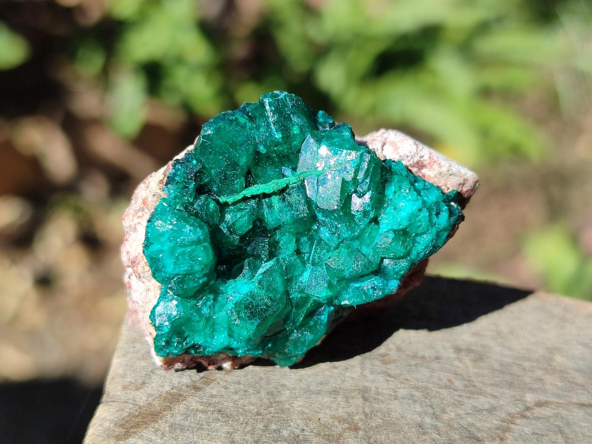Natural Dioptase on Dolomite Specimens x 12 From Likasi, Congo - Toprock Gemstones and Minerals 