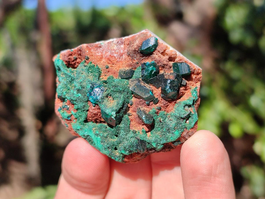 Natural Dioptase on Dolomite Specimens x 12 From Likasi, Congo - Toprock Gemstones and Minerals 
