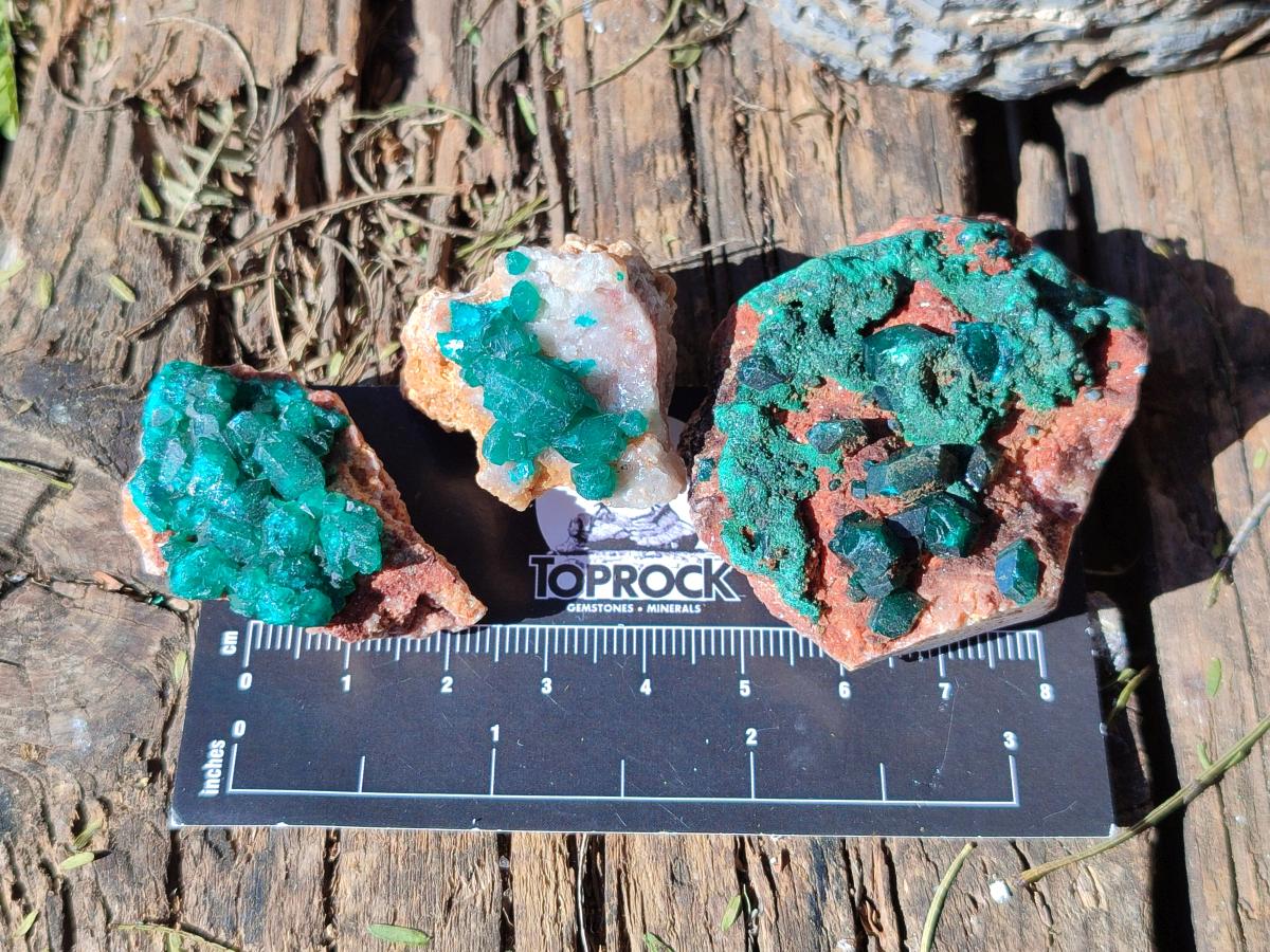 Natural Dioptase on Dolomite Specimens x 12 From Likasi, Congo - Toprock Gemstones and Minerals 