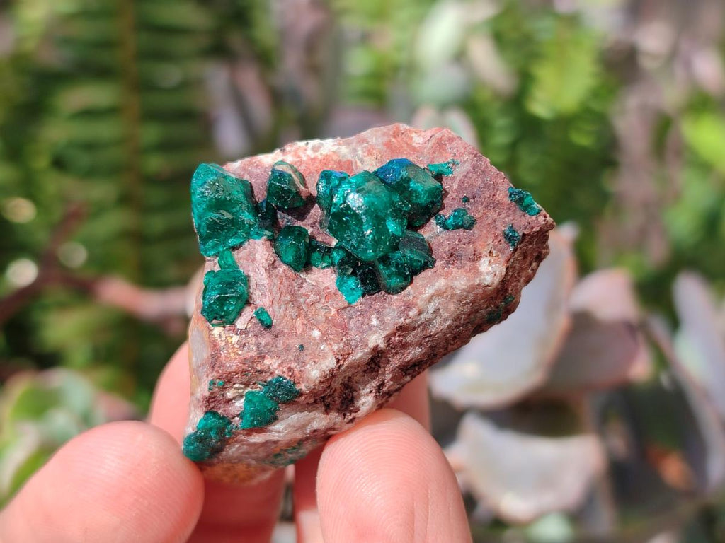Natural Dioptase on Dolomite Specimens x 12 From Likasi, Congo - Toprock Gemstones and Minerals 