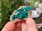 Natural Dioptase on Dolomite Specimens x 12 From Likasi, Congo - Toprock Gemstones and Minerals 