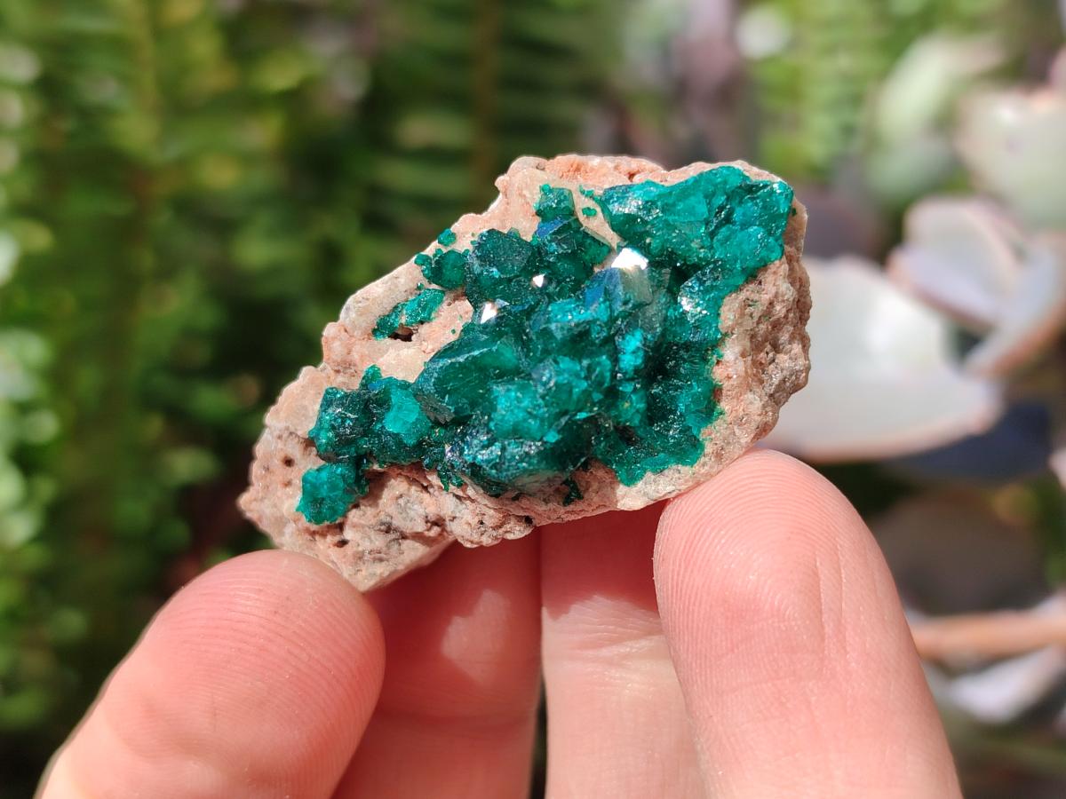 Natural Dioptase on Dolomite Specimens x 12 From Likasi, Congo - Toprock Gemstones and Minerals 
