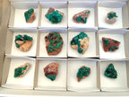 Natural Dioptase on Dolomite Specimens x 12 From Likasi, Congo - Toprock Gemstones and Minerals 