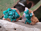 Natural Dioptase on Dolomite Specimens x 12 From Likasi, Congo - Toprock Gemstones and Minerals 