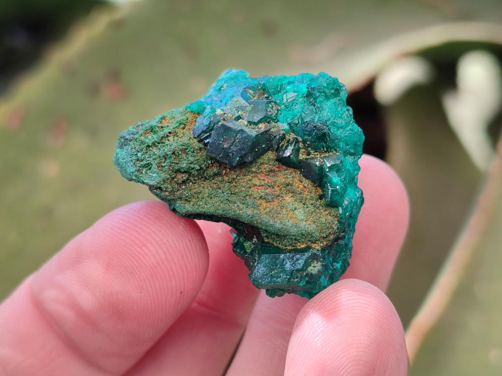 Natural Dioptase on Dolomite Specimens x 12 From Likasi, Congo - Toprock Gemstones and Minerals 