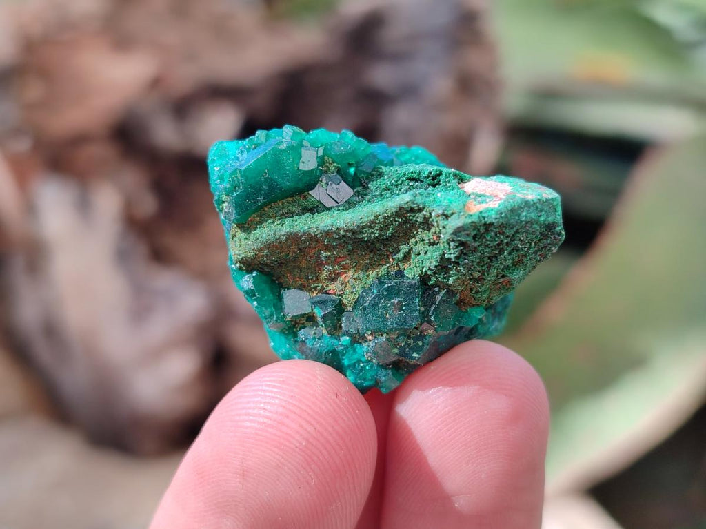 Natural Dioptase on Dolomite Specimens x 12 From Likasi, Congo - Toprock Gemstones and Minerals 