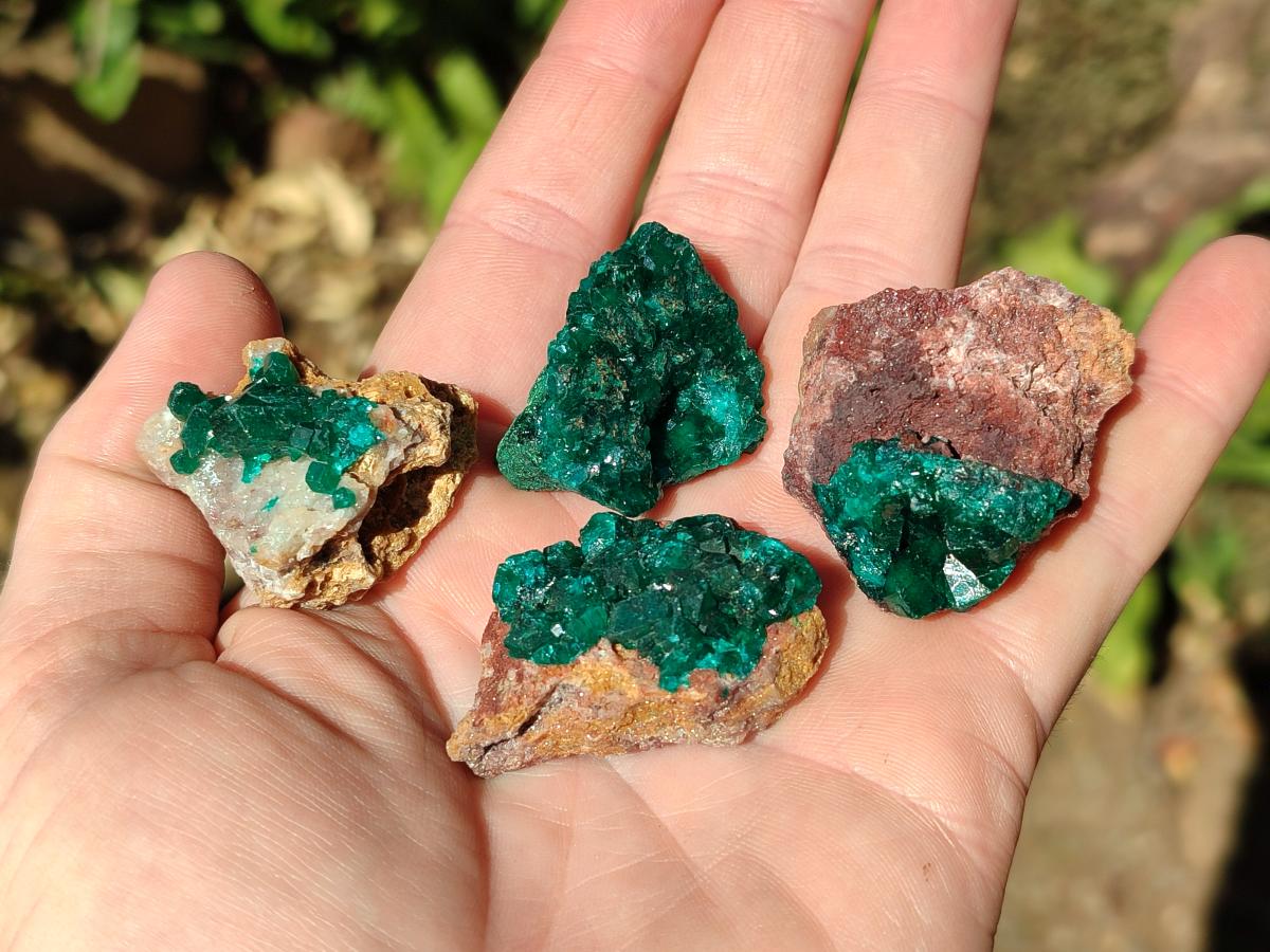 Natural Dioptase on Dolomite Specimens x 12 From Likasi, Congo - Toprock Gemstones and Minerals 