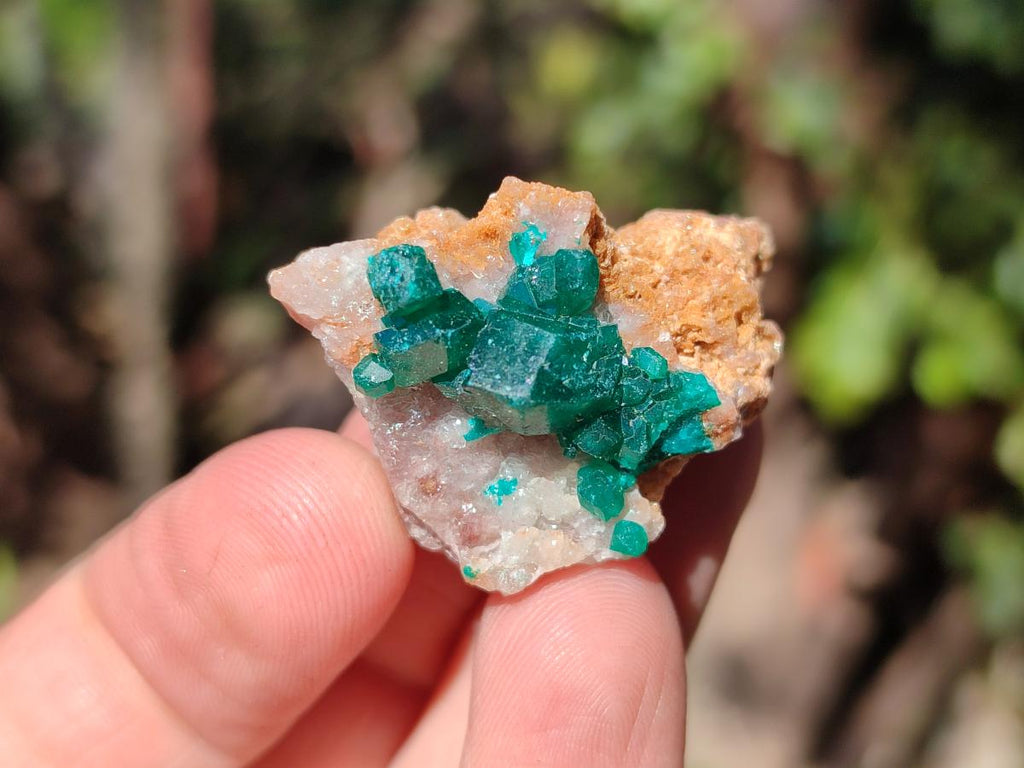 Natural Dioptase on Dolomite Specimens x 12 From Likasi, Congo - Toprock Gemstones and Minerals 