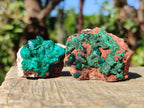 Natural Dioptase on Dolomite Specimens x 12 From Likasi, Congo - Toprock Gemstones and Minerals 