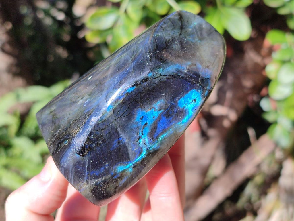 Polished Spectrolite Labradorite Standing Display Pieces x 3 From Madagascar - Toprock Gemstones and Minerals 