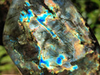 Polished Spectrolite Labradorite Standing Display Pieces x 3 From Madagascar - Toprock Gemstones and Minerals 