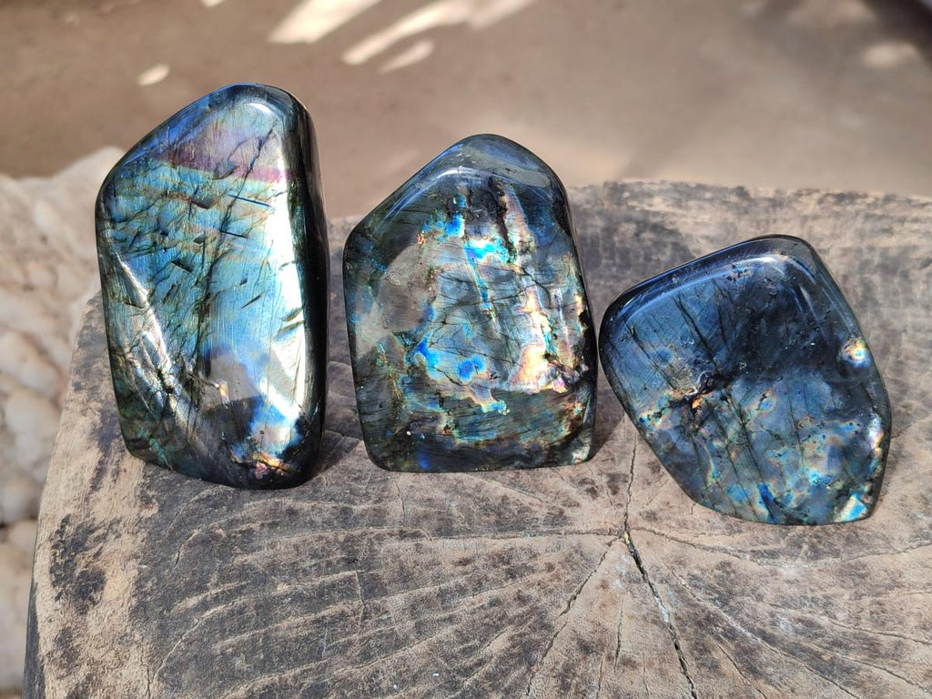 Polished Spectrolite Labradorite Standing Display Pieces x 3 From Madagascar - Toprock Gemstones and Minerals 