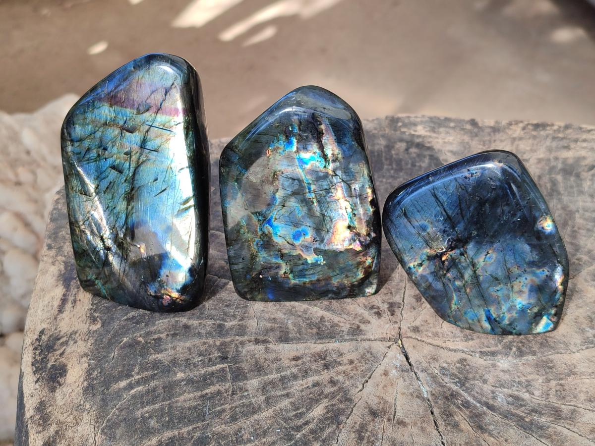Polished Spectrolite Labradorite Standing Display Pieces x 3 From Madagascar - Toprock Gemstones and Minerals 