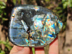 Polished Spectrolite Labradorite Standing Display Pieces x 3 From Madagascar - Toprock Gemstones and Minerals 
