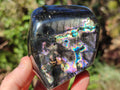Polished Spectrolite Labradorite Standing Display Pieces x 3 From Madagascar - Toprock Gemstones and Minerals 