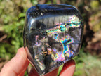 Polished Spectrolite Labradorite Standing Display Pieces x 3 From Madagascar - Toprock Gemstones and Minerals 